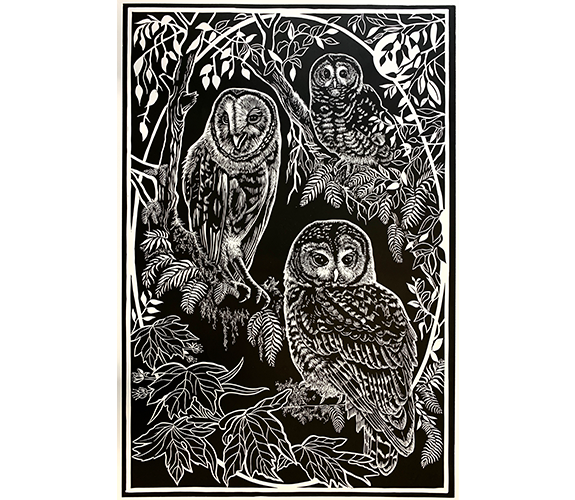 "Three Owls" - Kathy Anderson